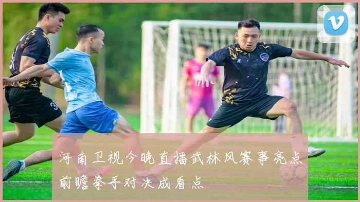 河南卫视今晚直播武林风赛事亮点前瞻拳手对决成看点