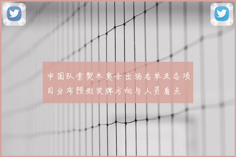 中国队索契冬奥会出场名单及各项目分布预测奖牌方向与人员看点